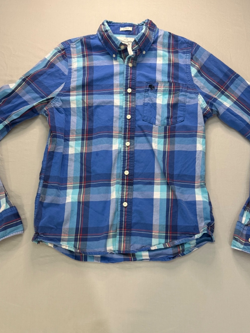 Abercrombie & Fitch Muscle XL Blue Plaid Button Up Shirt Long Sleeve Y2K Preppy